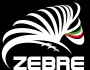 RaboDirect Pro12, le Zebre la nuova franchigia italiana